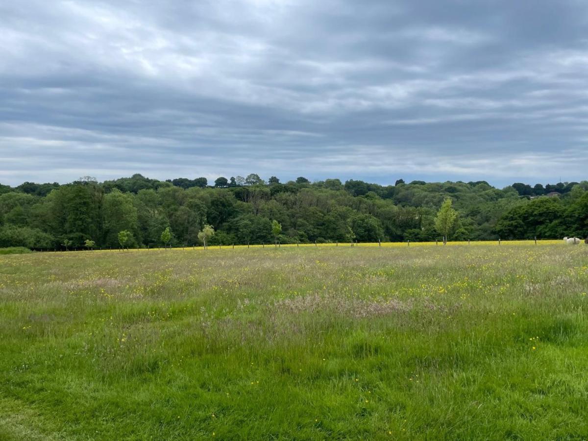 Meadow View Hotel Mayfield  Buitenkant foto